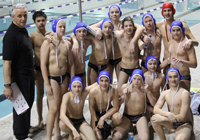 Vaterpolo - York Mavericks