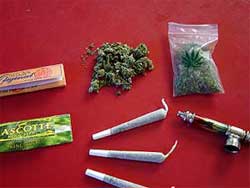 marihuana%20CANNABI2.jpg