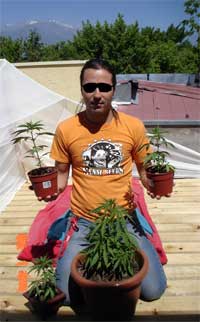 marihuana-1.jpg