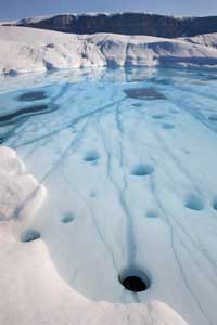 grenland - led se topi
