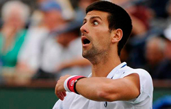 djokovic - indijan vels 