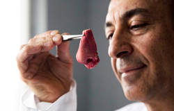 NOS-Stem-Cells-Sejfalian